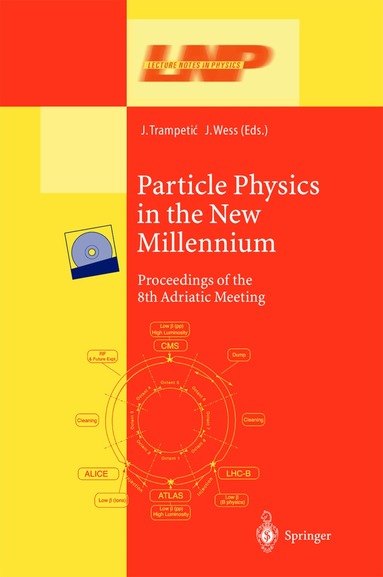 Josip Trampetic, Julius Wess - Particle Physics in the New Millennium, Inbunden