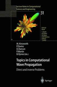 bokomslag Topics in Computational Wave Propagation
