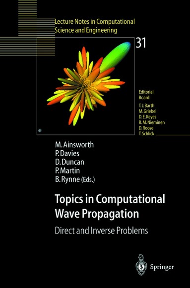 Mark Ainsworth, Penny Davies, Mark Ainsworth, Penny Davies, Dugald B. Duncan, Paul A Martin, Bryan Rynne - Topics in Computational Wave Propagation, Häftad