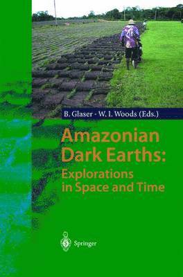 bokomslag Amazonian Dark Earths: Explorations in Space and Time