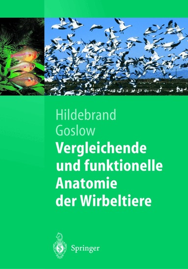 Milton Hildebrand, George Goslow - Vergleichende und funktionelle Anatomie der Wirbeltiere, Inbunden