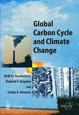 Global Carbon Cycle and Climate Change 1