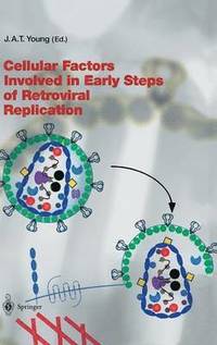 bokomslag Cellular Factors Involved in Early Steps of Retroviral Replication