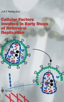 Cellular Factors Involved in Early Steps of Retroviral Replication