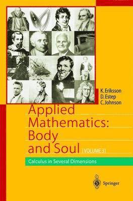 bokomslag Applied Mathematics: Body and Soul