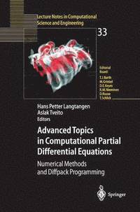 bokomslag Advanced Topics in Computational Partial Differential Equations