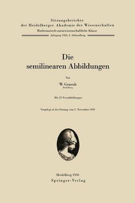 bokomslag Die semilinearen Abbildungen