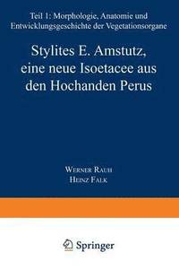 bokomslag Stylites E. Amstutz, eine neue Isotacee aus den Hochanden Perus