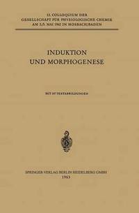 bokomslag Induktion und Morphogenese