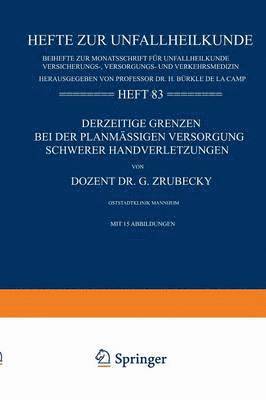 bokomslag Derzeitige Grenzen bei der Planmssigen Versorgung Schwerer Handverletzungen