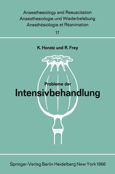 K. Horatz, R. Frey - Probleme der Intensivbehandlung, Häftad