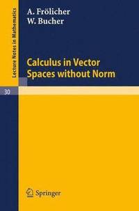 bokomslag Calculus in Vector Spaces without Norm