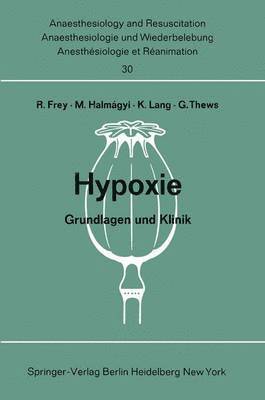 bokomslag Hypoxie