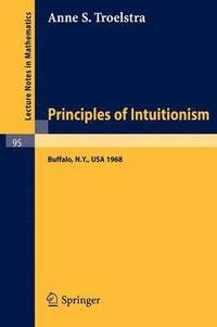 bokomslag Principles of Intuitionism