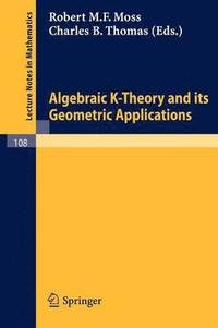 bokomslag Algebraic K-Theory and its Geometric Applications