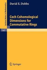 bokomslag Cech Cohomological Dimensions for Commutative Rings