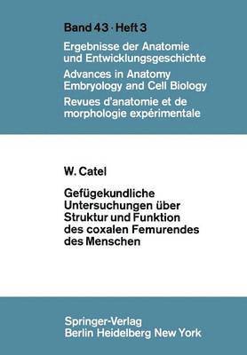 bokomslag Gefgekundliche Untersuchungen ber Struktur und Funktion des coxalen Femurendes des Menschen