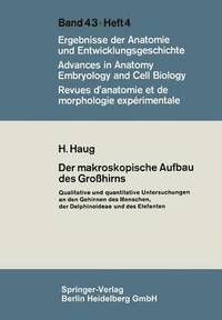 bokomslag Der makroskopische Aufbau des Großhirns