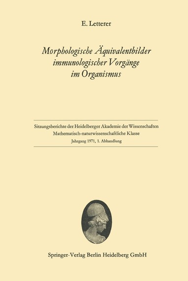 bokomslag Morphologische Äquivalentbilder immunologischer Vorgänge im Organismus