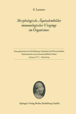 bokomslag Morphologische quivalentbilder immunologischer Vorgnge im Organismus