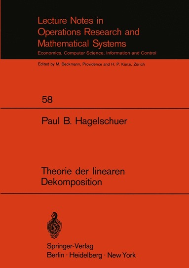 bokomslag Theorie der linearen Dekomposition