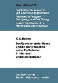 bokomslag Das Epoophoron der Henne und die Transformation seiner Epithelzellen in Interrenal- und Interstitialzellen