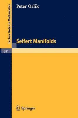 bokomslag Seifert Manifolds