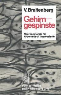 bokomslag Gehirngespinste