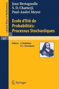 bokomslag Ecole d'Ete de Probabilites: Processus Stochastiques