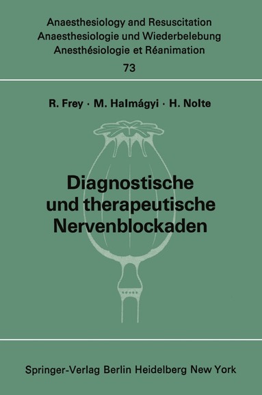 Rudolf Frey, M. Halmagyi, H. Nolte - Diagnostische und therapeutische Nervenblockaden, Häftad
