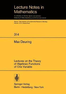 Lectures on the Theory of Algebraic Functions of One Variable 1