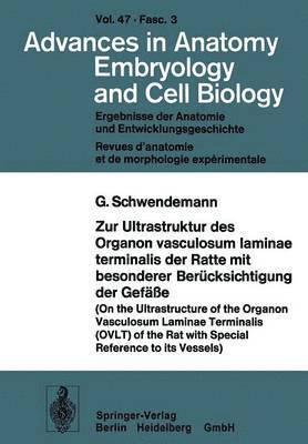 bokomslag Zur Ultrastruktur des Organon vasculosum laminae terminalis der Ratte mit besonderer Bercksichtigung der Gefe