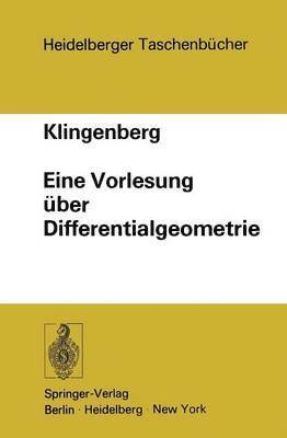 bokomslag Eine Vorlesung ber Differentialgeometrie