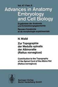 bokomslag Zur Topographie der Medulla spinalis der Albinoratte (rattus norvegicus) / Contributions to the Topography of the Spinal Cord of the Albino Rat (Rattus norvegicus)