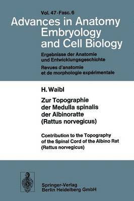 Zur Topographie der Medulla spinalis der Albinoratte (rattus norvegicus) / Contributions to the Topography of the Spinal Cord of the Albino Rat (Rattus norvegicus) 1