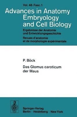 Das Glomus caroticum der Maus 1