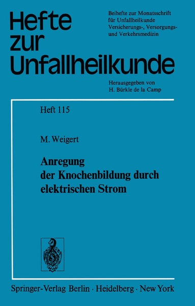 bokomslag Anregung der Knochenbildung durch elektrischen Strom