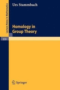 bokomslag Homology in Group Theory