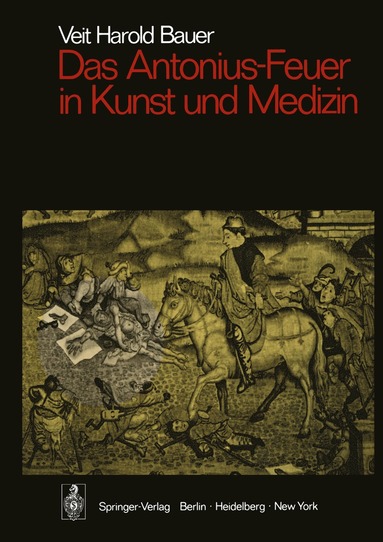 bokomslag Das Antonius-Feuer in Kunst und Medizin