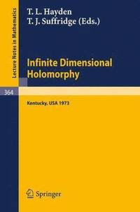 bokomslag Proceedings on Infinite Dimensional Holomorphy