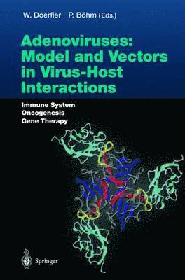 Adenoviruses: Model and Vectors in Virus-Host Interactions 1