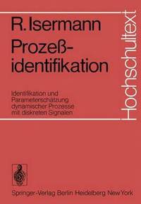 bokomslag Prozeßidentifikation