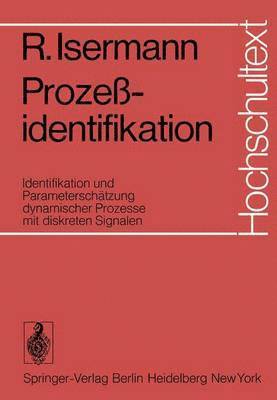bokomslag Prozeßidentifikation