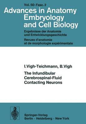 bokomslag Infundibular Cerebrospinal-Fluid Contacting Neurons