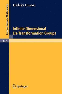 bokomslag Infinite Dimensional Lie Transformation Groups