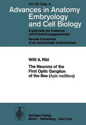 W.A. Ribi, W. a. Ribi - Neurons of the First Optic Ganglion of the Bee (Apis mellifera), Häftad