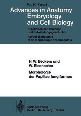 Morphologie der Papillae fungiformes 1