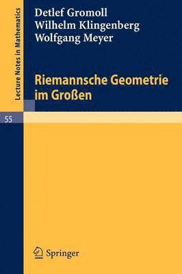 bokomslag Riemannsche Geometrie im Großen