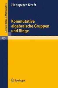 bokomslag Kommutative algebraische Gruppen und Ringe