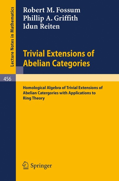 bokomslag Trivial Extensions of Abelian Categories